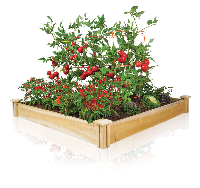 Greenes 5.5 in. H X 48 in. W Cedar Raised Bed Planter Brown