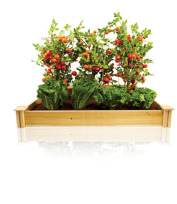 Greenes 5.5 in. H X 48 in. W Cedar Raised Bed Planter Brown