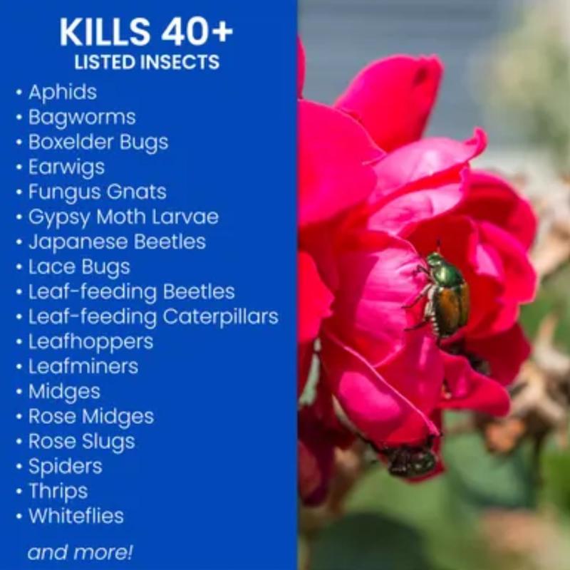 BioAdvanced Insect Killer Spray 15.7 oz