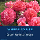 BioAdvanced Insect Killer Spray 15.7 oz