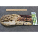 Frey Farms Produce Live Seeds 3 pk