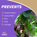 Bonide Captain Jacks Organic Fungicide/Insecticide/Miticide Liquid 32 oz