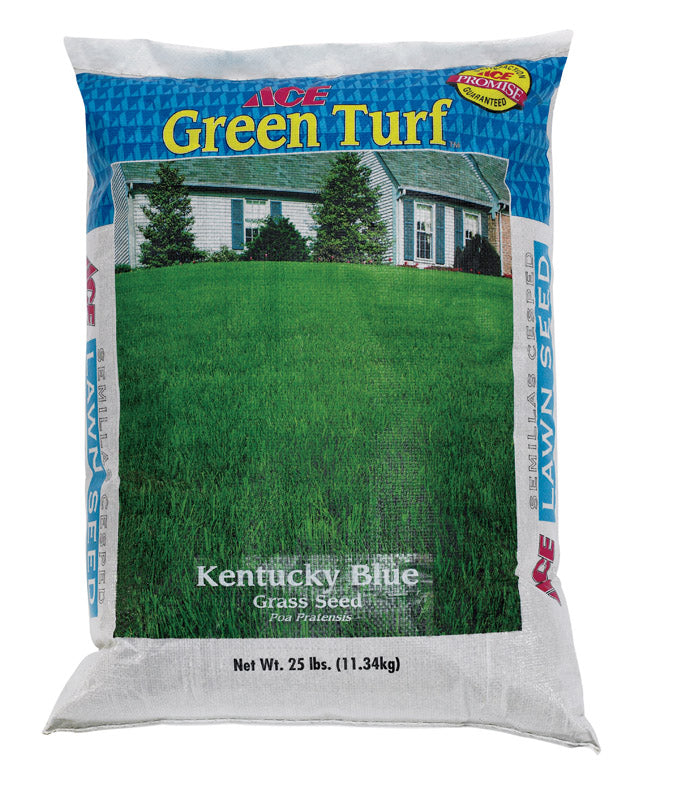 Ace Green Turf Kentucky Bluegrass Sun or Shade Grass Seed 25 lb