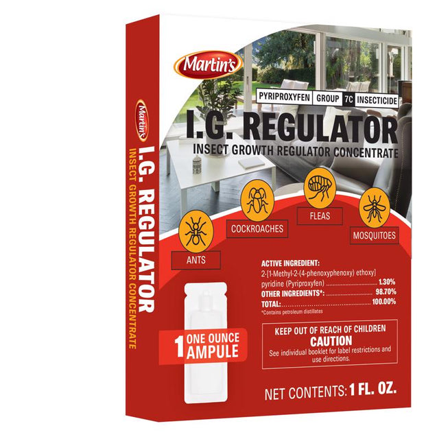 IG REGULATOR 1 OZ