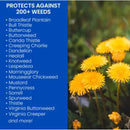 BioAdvanced Weed Killer RTS Hose-End Concentrate 29 oz