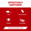 Tomcat Small Glue Trap For Mice 4 pk