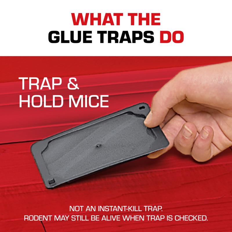 Tomcat Small Glue Trap For Mice 4 pk