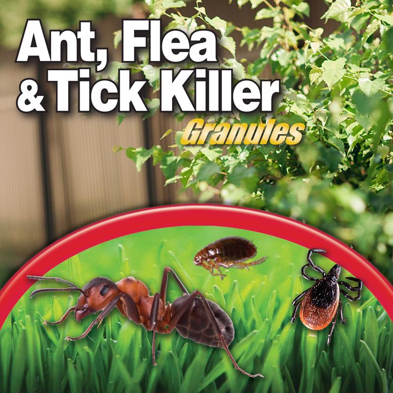 Bonide Ant, Flea & Tick Insect Killer Granules 10 lb