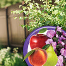 Bonide Fruit Tree & Plant Guard Insect Killer Liquid 16 oz