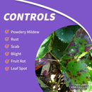 Bonide Fruit Tree & Plant Guard Insect Killer Liquid 16 oz