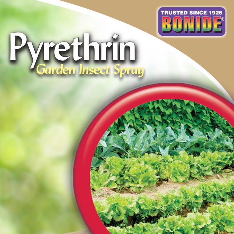 Bonide Pyrethrin Spray Organic Insect Killer Liquid Concentrate 16 oz