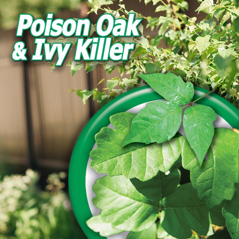 Bonide Poison Ivy Killer RTU Liquid 32 oz
