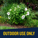 GardenTech Over n Out Advanced Fire Ant Killer Granules 11.5 lb