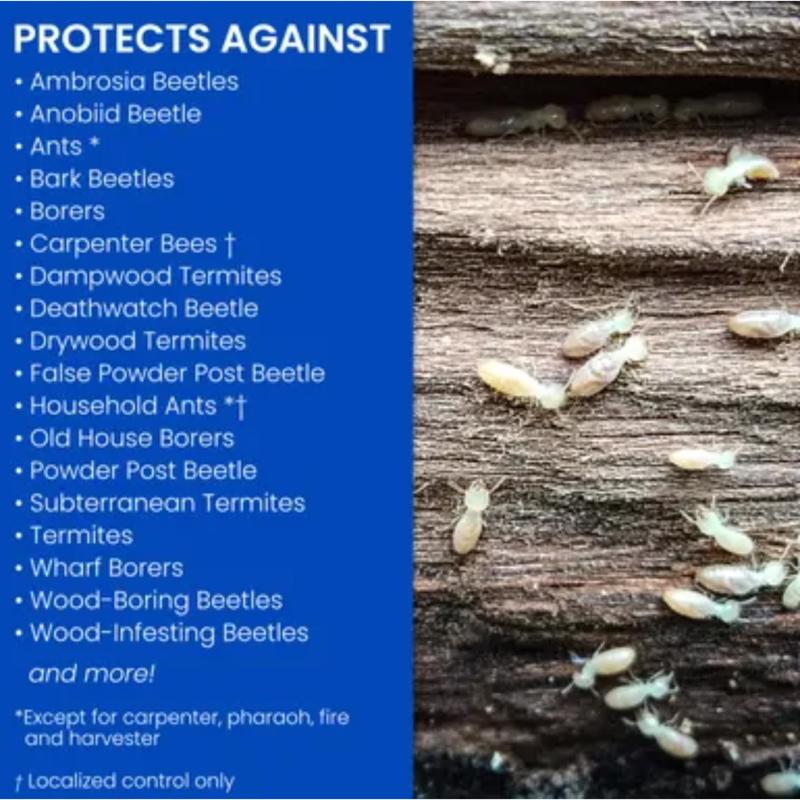 BioAdvanced Termite Killer Foam 18 oz