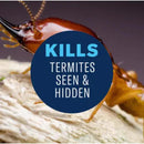 BioAdvanced Termite Killer Foam 18 oz