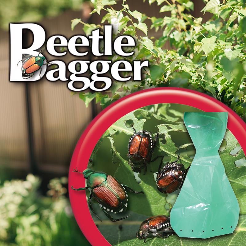 Bonide Beetle Bagger Beetle Trap Bag 6 pk