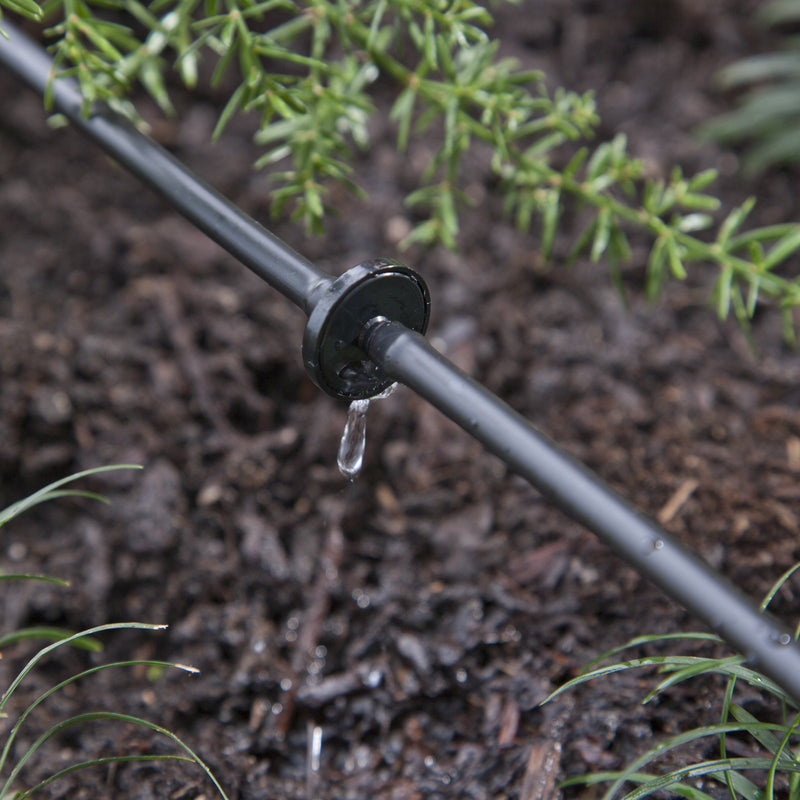 Raindrip Spot Drip Irrigation Dripper 1 gph 10 pk