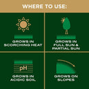 Scotts EZ Seed Centipede Grass Sun or Shade Grass Spot Repair Seed 3.75 lb