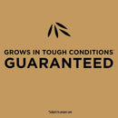 Scotts EZ Seed Centipede Grass Sun or Shade Grass Spot Repair Seed 10 lb