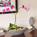 Mosser Lee White River Stone Vase Filler 5 lb