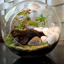 Mosser Lee White River Stone Vase Filler 5 lb