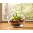 Mosser Lee River Pebbles Assorted Stone Vase Filler 5 lb