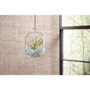 Mosser Lee Crystal Gems Clear Vase Filler 2.2 lb