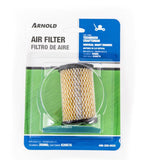 AIR FILTR TECUMSEH/CM