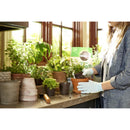 Miracle-Gro Indoor Plant Potting Soil 6 qt