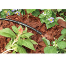 Rain Bird 1/4 in. Drip Irrigation Adapter 10 pk