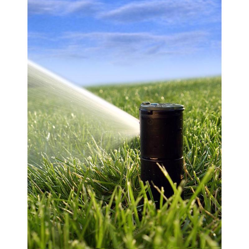 42SA+ ROTOR - 4 PACK DS