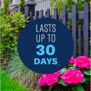 BioAdvanced Insect, Disease & Mite Control Liquid Concentrate 32 oz