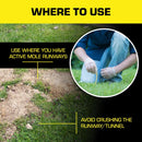 MOLE KILLER WORMS 10PK