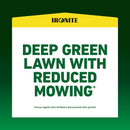 Pennington Ironite All-Purpose Lawn Fertilizer For All Grasses 1000 sq ft