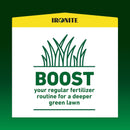 Pennington Ironite All-Purpose Lawn Fertilizer For All Grasses 1000 sq ft