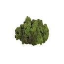 Mosser Lee Soil Cover Dark Green Reindeer Moss 3 oz