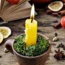 Mosser Lee Soil Cover Dark Green Reindeer Moss 3 oz