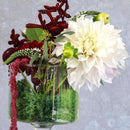 Mosser Lee Soil Cover Dark Green Reindeer Moss 3 oz