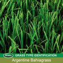 Scotts Turf Builder Argentine Bahiagrass Sun or Shade Grass Seed 5 lb