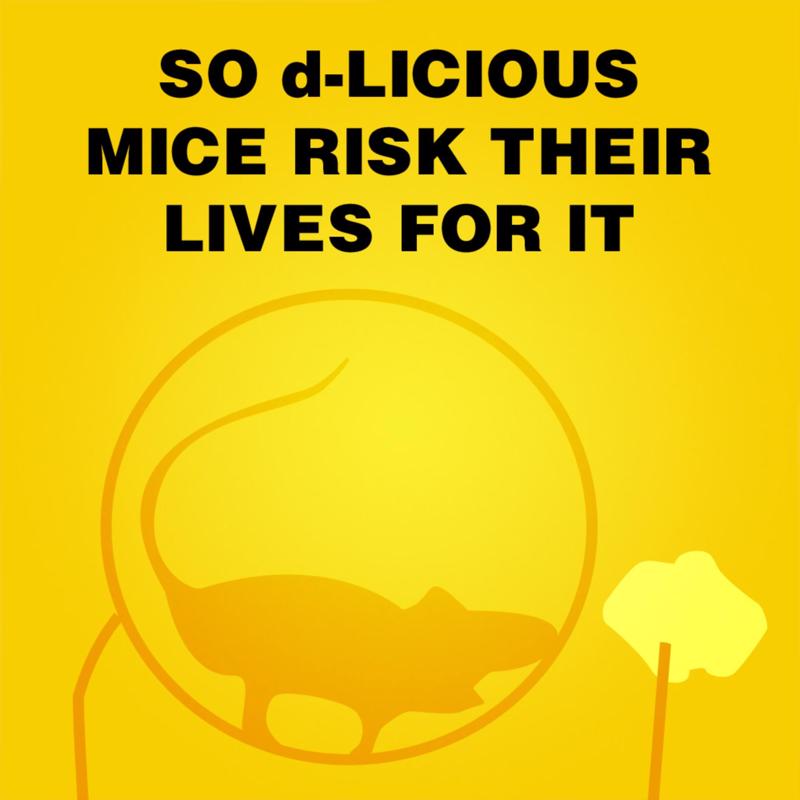 d-CON Bait Station Blocks For Mice