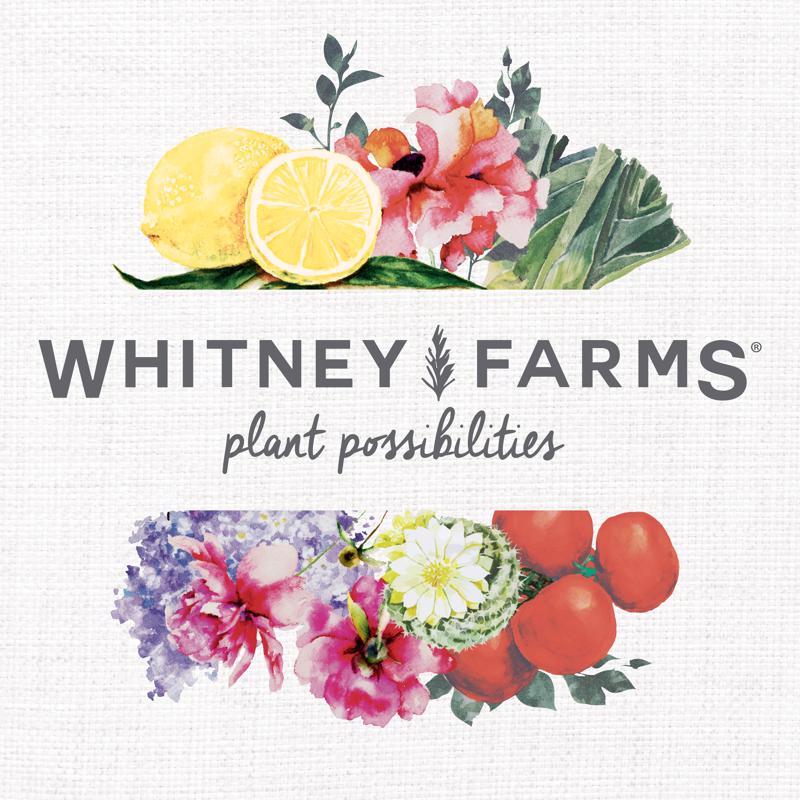 Whitney Farms Organic All Purpose Seed Starting Mix 8 qt