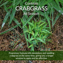 GreenView Fairway Formula Weed & Crabgrass Lawn Fertilizer For All Grasses 5000 sq ft