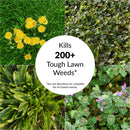 GreenView Fairway Formula Weed & Crabgrass Lawn Fertilizer For All Grasses 5000 sq ft
