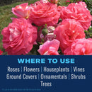 BioAdvanced 3 in 1 Garden Insect Spray Concentrate 32 oz