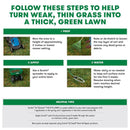 Scotts Turf Builder Tall Fescue Grass Sun or Shade Grass Seed and Fertilizer 12 lb