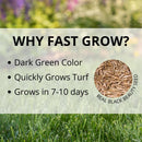 Jonathan Green Fast Grow Mixed Sun or Shade Grass Seed 15 lb