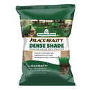 Jonathan Green (10620) Black Beauty Dense Shade Grass Seed - Cool Season Lawn Seed (7 lb)