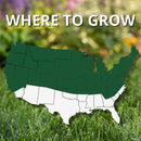 Jonathan Green (10620) Black Beauty Dense Shade Grass Seed - Cool Season Lawn Seed (7 lb)