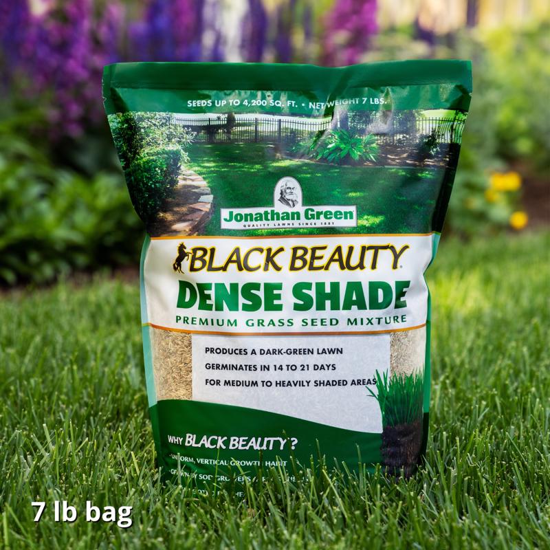 Jonathan Green Black Beauty Dense Shade Mixed Full Shade Grass Seed 7 lb