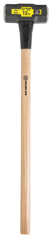 SLDGE HAMER DB FACE 12LB